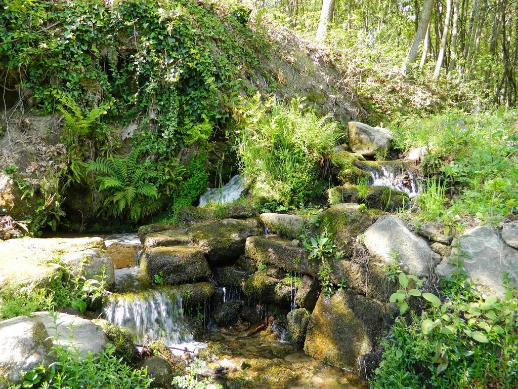 Quinta Lamosa Agroturismo Arcos de Valdevez Dış mekan fotoğraf